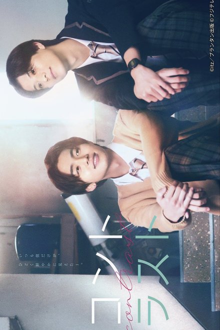 Poster of Contrast (Japanese Drama 2026)
